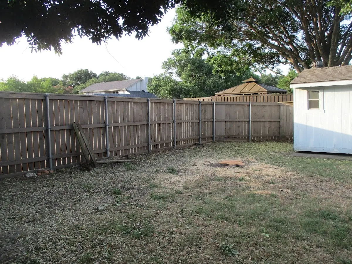 Cleared yard after professional tree removal in Osterville